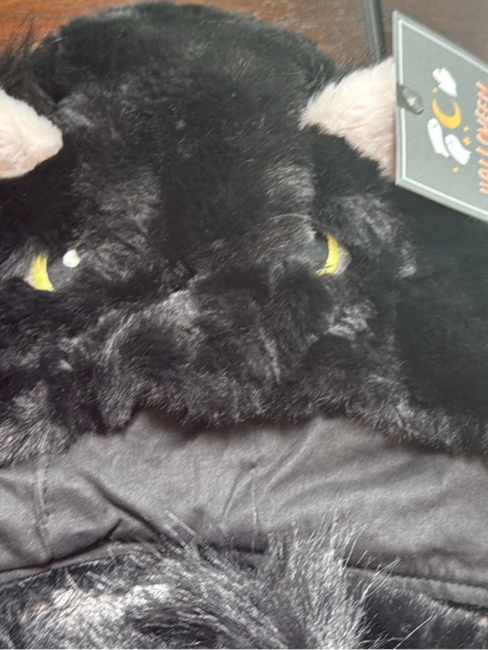 NWT PBK Cat Costume 12-24mo
